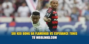 Soi Kèo Bóng Đá Flamengo Vs Esperance Tunis Từ bxsco.sa.com