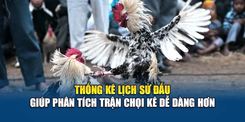 Trải Nghiệm Đá Gà Campuchia Đỉnh Cao Cùng Nhà Cái W88 3 Thống kê lịch sử đấu giúp phân tích trận chọi kê dễ dàng hơn